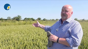 Project Lamport 2019 - What