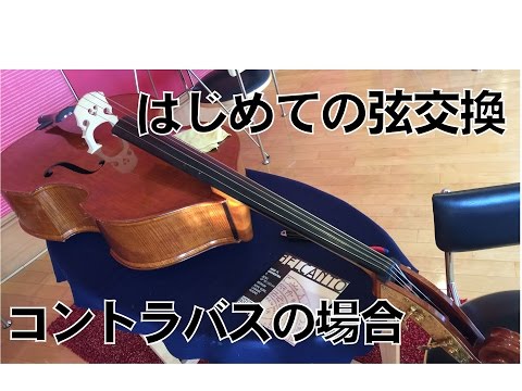 コントラバス用の弦(G.D.A.E) GDAD 四弦コントラバスの調弦 : べルリンでさーて何を食おうかな？