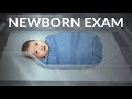 Newborn Exam By N Gold OPENPediatrics