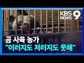 살릴 수도 죽일 수도…‘사육 금지’ 곰 312마리 운명은? [9시 뉴스] / KBS  2024.05.19.