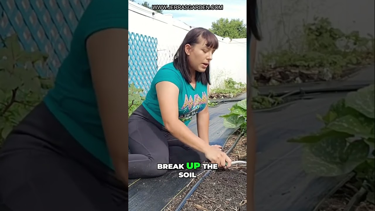 How to Grow Healthy Greens in Your Garden: Tips and Tricks