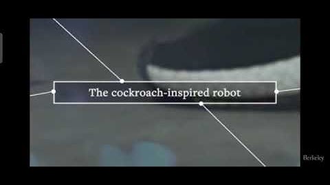 Cockroach inspired robot