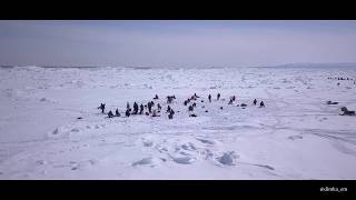Зимняя рыбалка на Сахалине. 23 марта 2018. Долинский район, 72 км. Видео с дрона