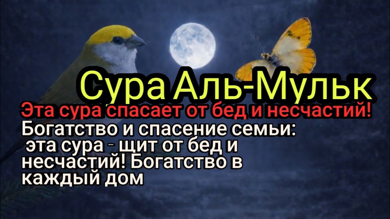 Богатство, ризк и успех: мощная сура для изобилия и защиты!