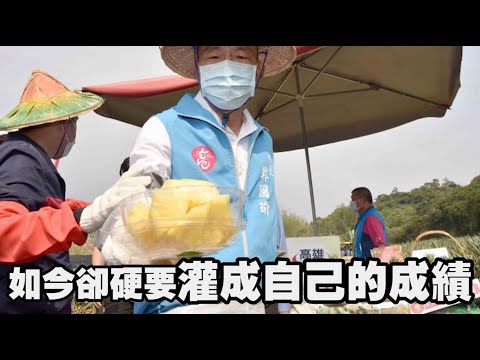 陳吉仲稱新南向鳳梨成長110倍？農業專家狠打臉：靠韓國瑜MOU來的