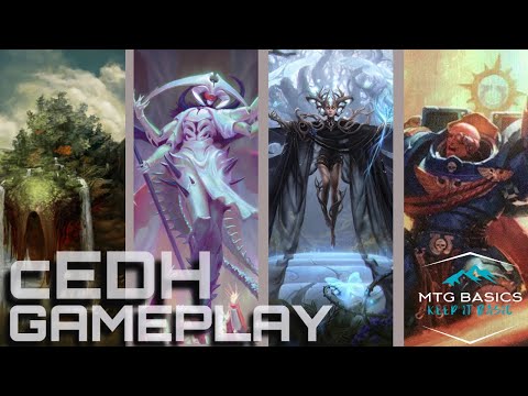 Animar vs Atraxa,