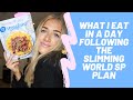 SP SLIMMING WORLD PLAN - WHAT I EAT FOR BREAKFAST, LUNCH, DINNER AND SNACKS