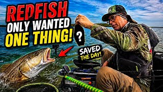 🚨 Redfish ONLY Wanted ONE Thing! (Summer Fishing Hack?) 🚨