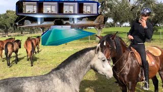 WE STAYED AT A LUXURY HORSE RESORT IN PORTUGAL