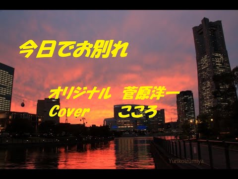 今日でお別れ／菅原洋一　　Cover／こころ　　動画編集／こころ