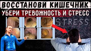 Как восстановить кишечник, снизить стресс, депрессию и тревожность?