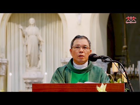 Video 4 mối phúc và 4 mối họa - Bài giảng ngày 09-9-2020:... - youtube