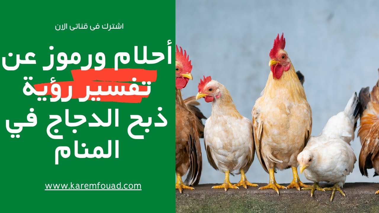 أحلام ورموز عن تفسير رؤية ذبح الدجاج في المنام