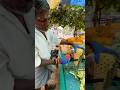 Unique Skill Of Pineapple Cutting #shorts