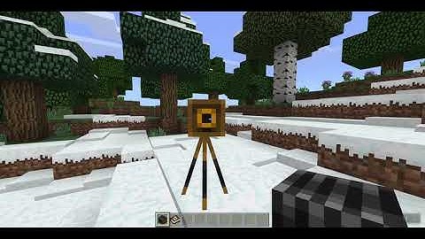 In-Game Camera and Portfolio