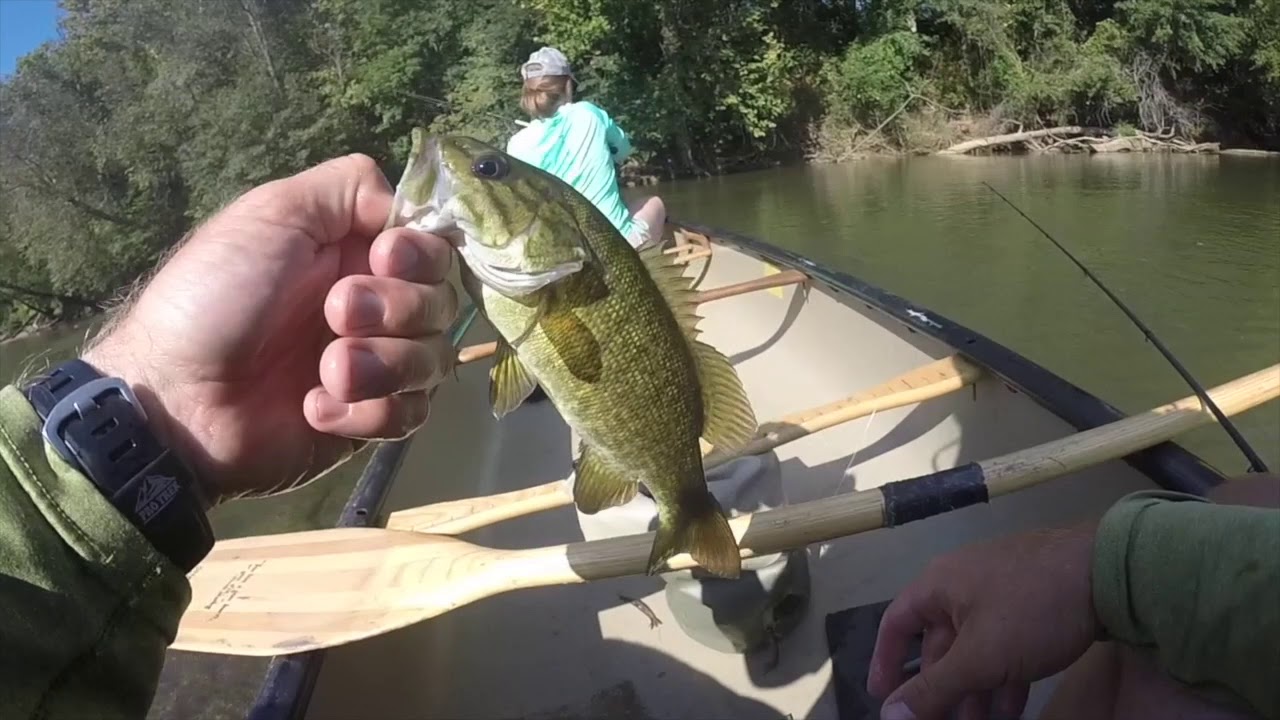 Smallmouth fishing on a river in Upstate South Carolina YouTube