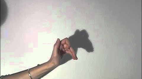 Hand Shadows : Camel