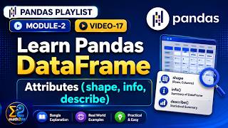 Pandas DataFrame Attribute V-17 shape columns index info describe memory - usage Python