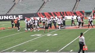 Joe Burrow throws at Bengals practice Thursday