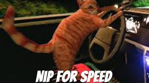 Nip For Speed (don