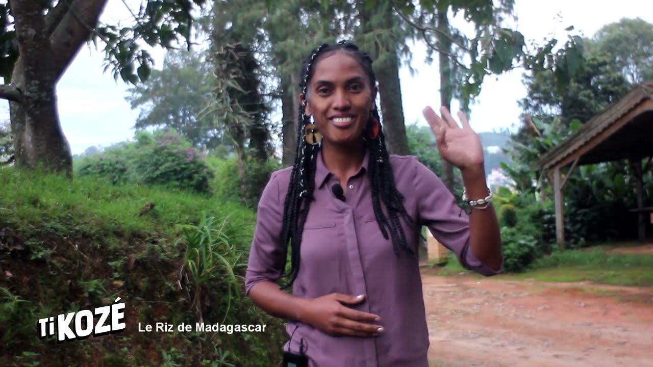 Le riz de Madagascar - Emission de KANAL AUSTRAL.TV