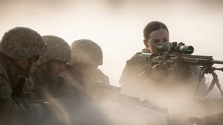 SEALs Whispered, ‘Enemies at 2,000 Meters’ — Then She Emerged from the Fog With Her Sniper Rifle