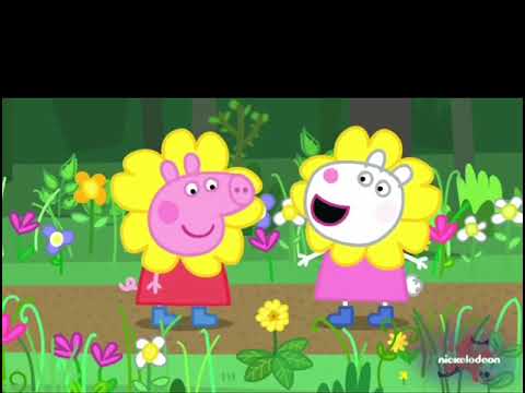 Wildflower wood