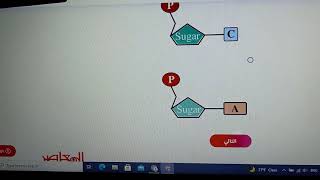 اجابات منصة حصص مصر امتحانات الوزارة الاسترشادية 2021 الامتحان الثاني بيولوجي