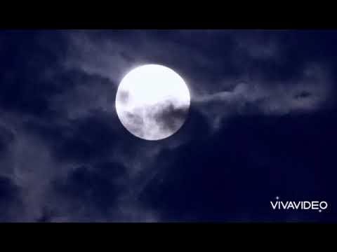 هموم الحياه جبال ثقال احمد النفيس