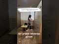 Siz nima deb o'ylaysiz?