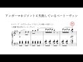 アンガーマネジメントに失敗しているベートーヴェン