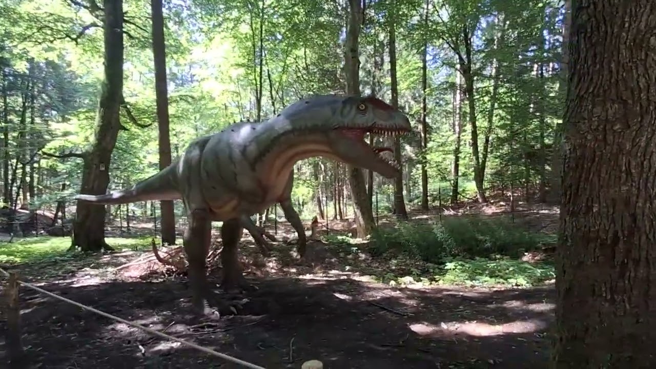 #DINOSAURIER Ausstellung in Wildpark Schwarzenberge #dinosaur #viral #ausstellung #exposition