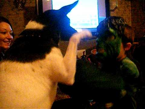 hulk vs dog - YouTube