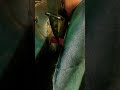 تانكي و شنطة فورشنر 
