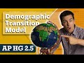 Population Dynamics and the Demographic Transition Model