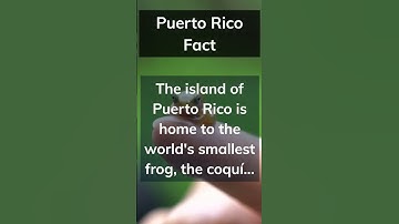 Thumbnail of Do you like the song of the coquí? Let me know in the comments 👇 #shorts #puertoricofacts
