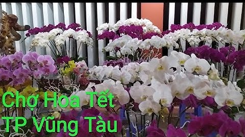 NÁO NHIỆT/ Chợ hoa tết 2020/ tại TP Vũng Tàu, Chợ Hoa Tết lớn nhất Vũng Tàu, XemTV