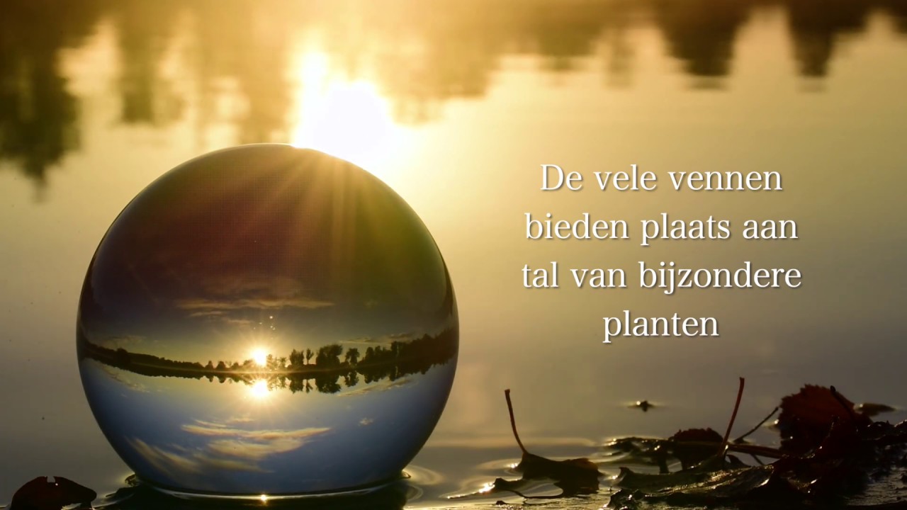 natuurfilm Oisterwijk Parel in 't Groen