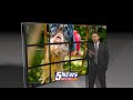 Summer Safety Series