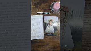 A Beltane Message #wickedmoonlight
✨️ For entertainment purposes only. Take what resonates.
Want to request a deck for me to review? Add it to the list:
https://docs.google.com/document/d/1d3nWcCqKpk3AO55dbs9w2Dmg4hMKC8PDE3I5GiYjgAI/edit?usp=sharing
☕ If Youd Like to Show Your Support:
Ko-Fi:
https://ko-fi.com/wickedmoonlight
PayPal:
https://paypal.me/wickedmoonlight1?locale.x=en_US
Venmo:
https://venmo.com/u/wickedmoonlight
Patreon: https://www.patreon.com/WickedMoonlight
Join this channel to get access to perks:
https://www.youtube.com/channel/UCIF_aVLZuUDDxYfh3qxAKNQ/join
🔮 Wicked Moonlight Merch is here!
Www.wickedmoonlight.com
📷 Follow Me: https://linktr.ee/WickedMoonlight
💌 Want to send me something?
10940 Trinity Parkway Ste C-312
Stockton, CA 95219
*Affiliate Links (as an affiliate, I earn a small commission from these links)
Z Gallerie:
https://www.pjtra.com/t/TUJGR0lGSUJHSktKTktCR0VKRUpI
Spencers Gifts:
https://www.pntra.com/t/TUJGRU5MSEJHSktKTktCRklGRUpK
Spirit Halloween:
https://www.pjatr.com/t/TUJGRU5MSkJHSktKTktCRklGRUpM
Fimstock Editing Help:
https://filmstock.wondershare.com/referral-landingpage-campaign.html?frm=16a28464
📦My Amazon Storefront:
https://www.amazon.com/shop/wickedmoonlight
My Public Amazon Wish List (since a lot of you have asked):
https://www.amazon.com/hz/wishlist/ls/2CQ1FQMN6Q518?ref wl_share
#wickedmoonlight A Beltane Message #wickedmoonlight