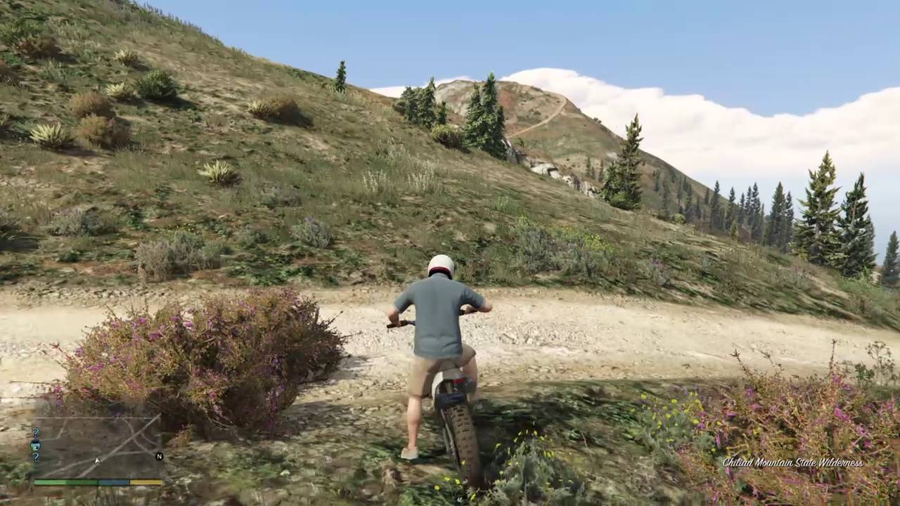 Glitching out after shooting T01 Door in GTA5