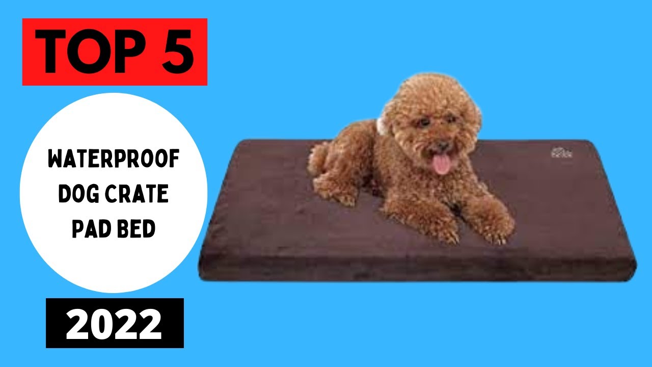 TOP 5 Best Selling Waterproof Dog Crate Pad Bed 2022 YouTube