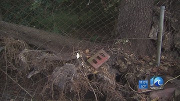 Virginia Beach man concerned about neighbor’s uprooted tree
