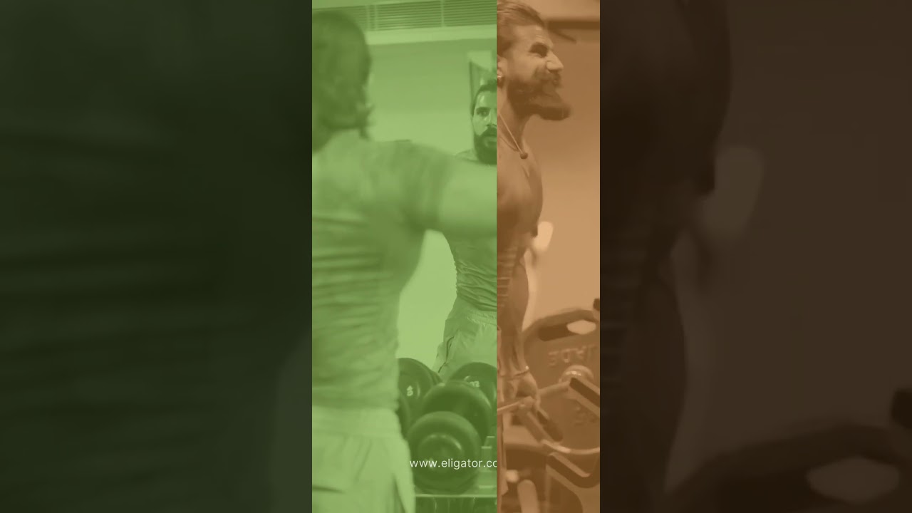 Eligator Nutrition Whey Protein