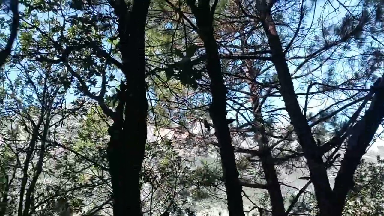 visitando Chipinque,  ruta el pinal esta genial!!