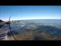 Incredible Albie and Striper Fishing Against the Shore!