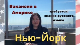 видео: РУССКИЙ язык в США - ТОП-5 офисных профессий, и платят хорошо! картинка: РУССКИЙ язык в США - ТОП-5 офисных профессий, и платят хорошо!