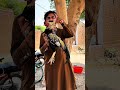 Sardar Muzamil Ballu Ka Aseel Murgha #aseelmurga #aseelmurgha #murgha #ballu
