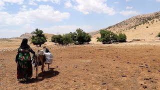 Nomadic Woman Bringing Water From Spring - Iran Lifestyle