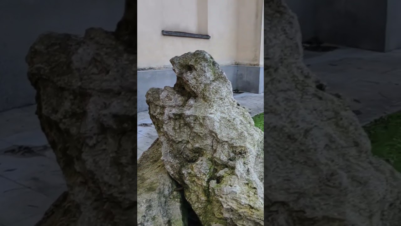 Centro Tarvisio UD Italia ❤️